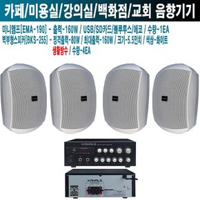 주점 일식집 카날스 앰프스피커 EMA-190 BKS-255 W-3