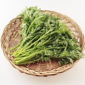 늘바른 국내산 친환경 무농약 쑥갓 150g 20봉