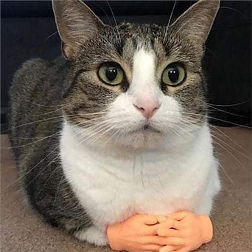 이미지1