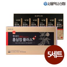 6년근 투데이 홍삼정 플러스 60포 5세트(쇼핑백 포함)