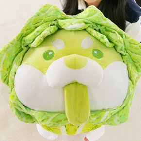 배추코기 모찌인형 30cm 동물 강아지인형 애착 봉제인형 책상 낮잠베개