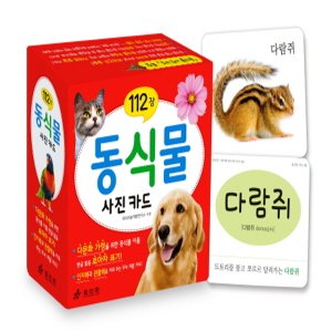  효리원 동식물 사진 카드 (112장)