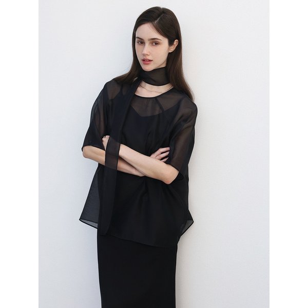 Half overfit sheer blouse - BLACK