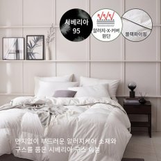 고중량 한파용 알러지케어 블랙파이핑 시베리안 구스 이불(솜털95%) - 킹1600g