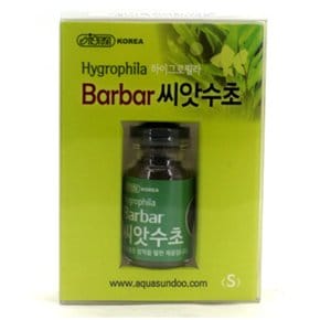 이스타 Barbar(바바) 씨앗 수초 (S) 1개입 / 하이그로필라 수초 기르기 모스 활착