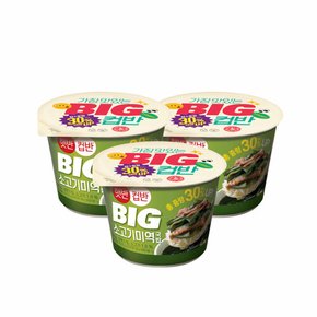 햇반 컵반 BIG 소고기 미역국밥 311g x3개