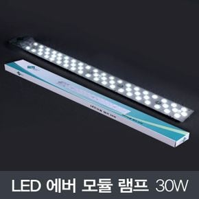 LED 에버 모듈 램프 30W