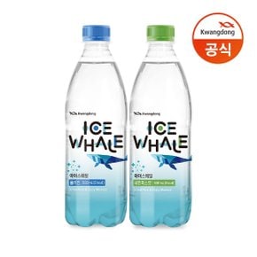 아이스웨일플레인500ML 20PET+샤인머스캣 500ML20PET