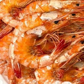 직접생산 햇 건조 대하 500g / 서해안대하 대하새우