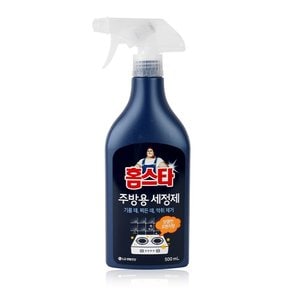 엘지 홈스타 주방용 세정제 500ml