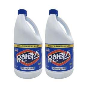 레귤러 2Lx2개