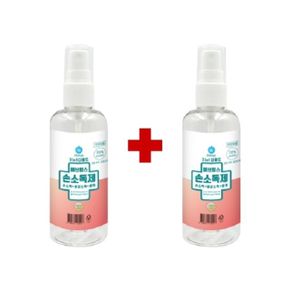 에브링스 손소독제 원쁠원1+1 100ml+100ml X ( 2매입 )