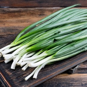 흙쪽파 1kg