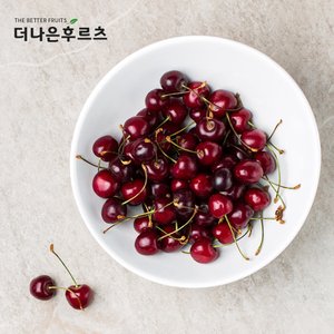  [무료 아이스팩 포장] 특품 신선 고당도 생 체리 1kg 5kg 내외 (9.5R/10R)