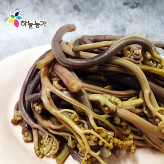  국산 고사리 건데친 1kg