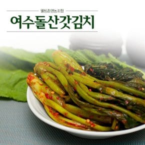 [웰빙촌] HACCP 인증 여수돌산갓김치2kg