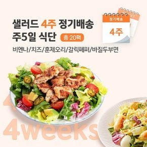 4주 정기배송 주 5일 닭가슴살 샐러드 5팩