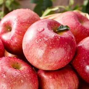 꿀 사과 가정용 3kg(중소과/13-15과)