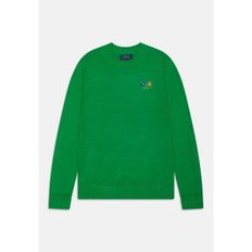 키즈 폴로 랄프로렌 ROLLNECK - 점퍼 - 프레피 그린 9139053 91572702