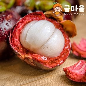 생 망고스틴 2망 1kg내외 10-14알