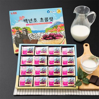 자연맛남 엘가 수제 초콜릿 백년초초콜릿(대) 32개입