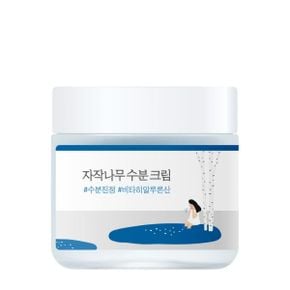 라운드랩 Birch Juice 모이스처라이징 크림 페이스크림