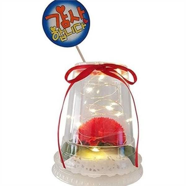 확대된 대표 카네이션 무드등 led 무드등 DIY 인테리어 조명등 탁상용 만들기 핸드메이드 스승의날 학부모 어버이