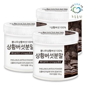 100% 상황버섯 분말 가루 차 100gx3통 베타글루칸 함유 뽕나무 목질 진흙버섯