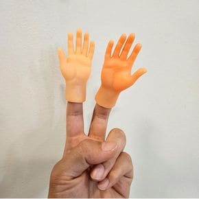 애완용품 고양이 만지기 손가락 미니 모형