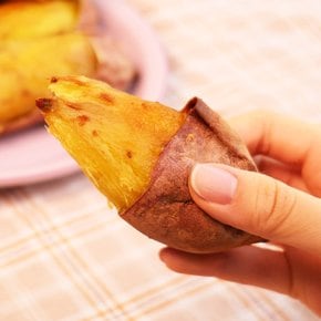 [오늘신선] 해남 산지직송 베니하루카 밤고구마 세척 한입 2kg
