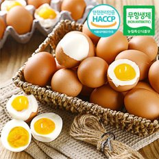 [무항생제/HACCP]웰굿 간이배어있는 반숙계란 반숙란 150구(5판)