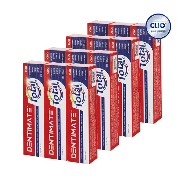 덴티메이트 뉴토탈케어 치약 150g x12개