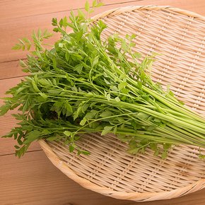 국내산 향긋한 미나리 1kg