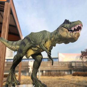 Tyrannosaurus 티라노사우루스 렉스 쥐라기 공룡