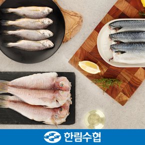 [제주 한림수협] 제주 옥돔&굴비&고등어 혼합 선물세트 2호 (옥돔 160g x 3팩+굴비600g(10미) x 2팩+고등어100g x 5팩) / 부직포가방_국내산_냉동비축품