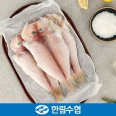 [제주 한림수협] 제주직송 제주 옥돔 12마리 세트 (옥돔 180g x 12팩)