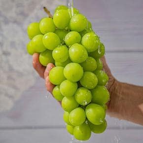 상주 김천 샤인머스켓 1kg 1-2수 특품 망고포도 상주샤인머스켓 씨없는 청포도  (S51562921)