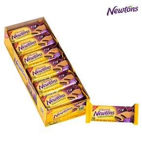 Newtons 뉴턴스 무화과 소프트 츄이 쿠키 28g x 12개입