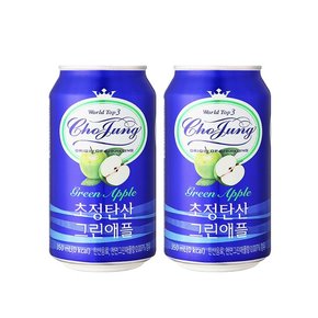 [본사직영] 초정탄산수 350ml 그린애플 24캔 2박스 총 48캔