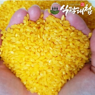 식탐대첩 국내산 강황카레쌀 1kg