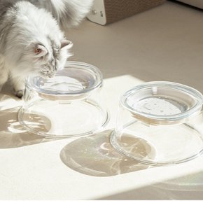 [냥쌤] 투명수반 SET 고양이 대형 물그릇 (갤럭시+아쿠아리움)