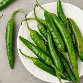 산지직송 국내산 청양고추(상) 1kg[36093509]