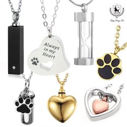 SSG닷컴 딩동펫 상품 이미지