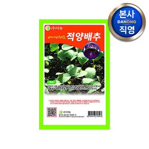 베이비 (샐러드) 적양배추 씨앗 10g . 무농약 베란다 텃밭 채소 재배 씨 종자