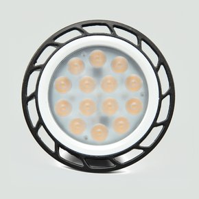 LED전구 PAR30 15W 전구색 주광색 집중형