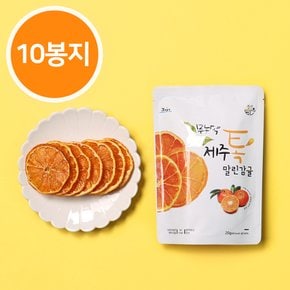 [10개묶음] 무농약 제주 톡말린 감귤칩 20g 제주특산품 기념품 과일칩