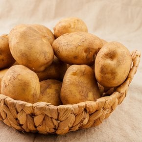 국내산 설봉감자 대 3kg