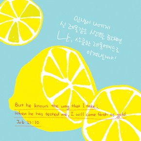 [그레이스벨]디자인카드 - 레몬