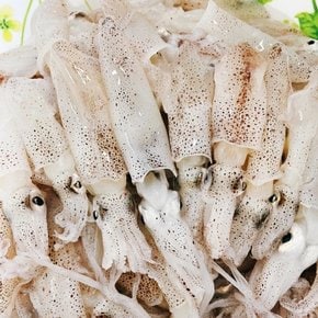 국내산 급냉 호래기 200g x 2개 숙회용