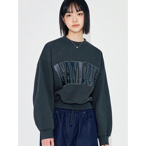 LAMOUR Big Embroidery Stitch Sweatshirt CROP T87 Charcoal